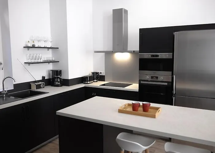 Le Logis Des Jacobins 125m2 Agen